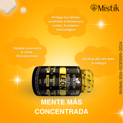 🧠 Melena de León + Cola de pavo + Ganoderma (Reishi)
