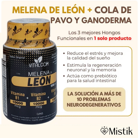 🧠 Melena de León + Cola de pavo + Ganoderma (Reishi)